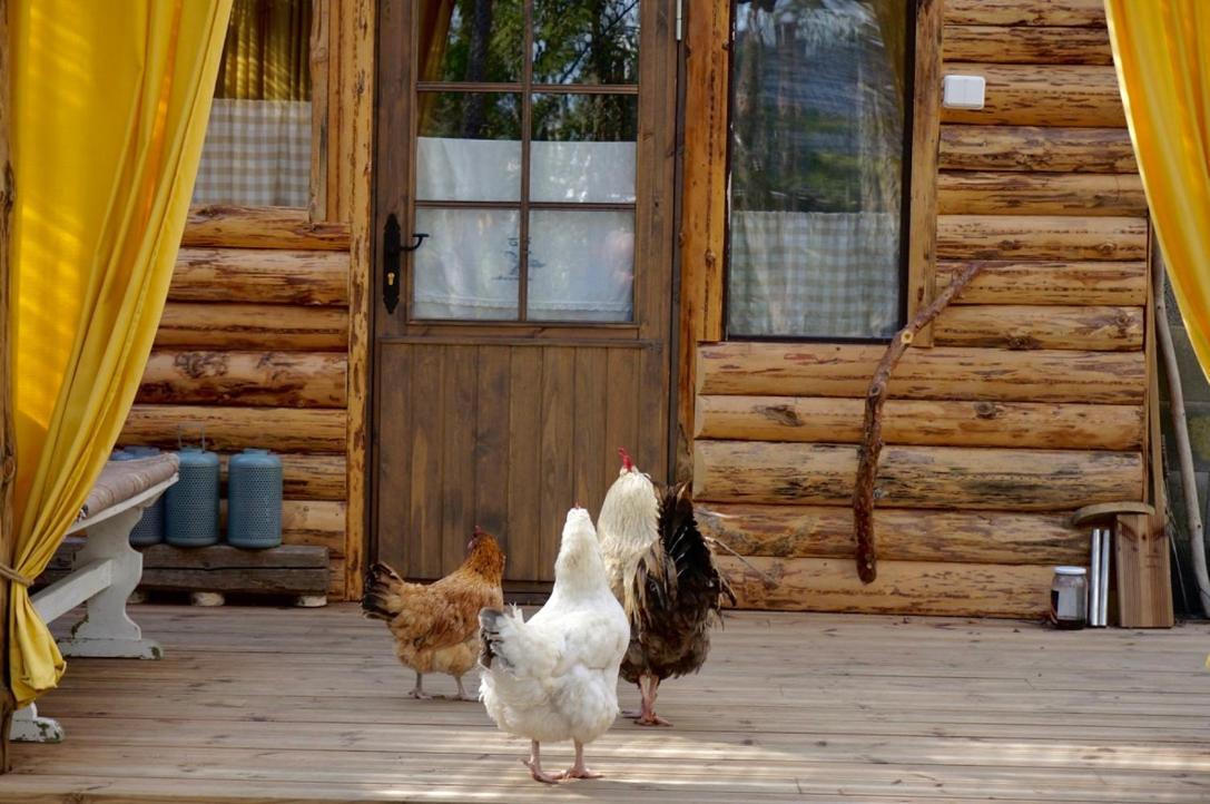 B&B Elaemys Aemmi Sauvo Exteriér fotografie