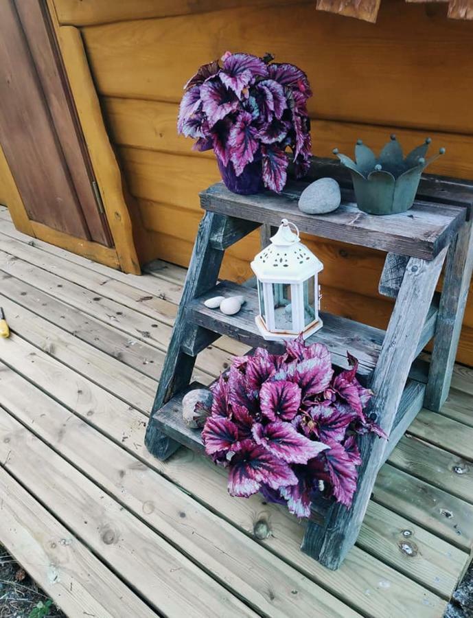 B&B Elaemys Aemmi Sauvo Exteriér fotografie